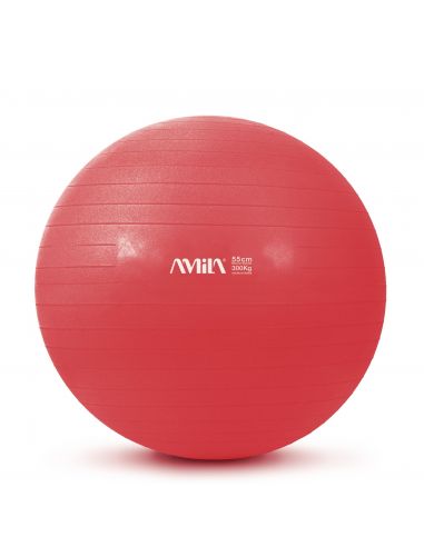 Mankštos kamuolys AMILA "GYM BALL" (55cm)