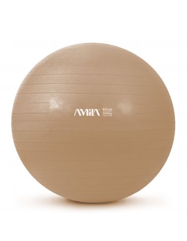 Mankštos kamuolys AMILA "GYM BALL" (65cm)