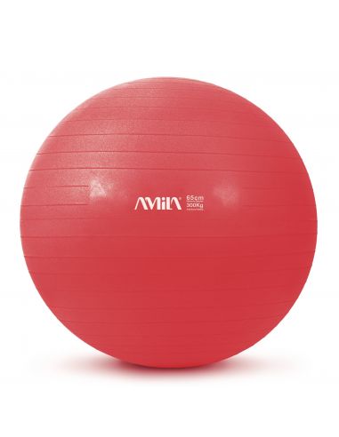 Mankštos kamuolys AMILA "GYM BALL" (65cm)